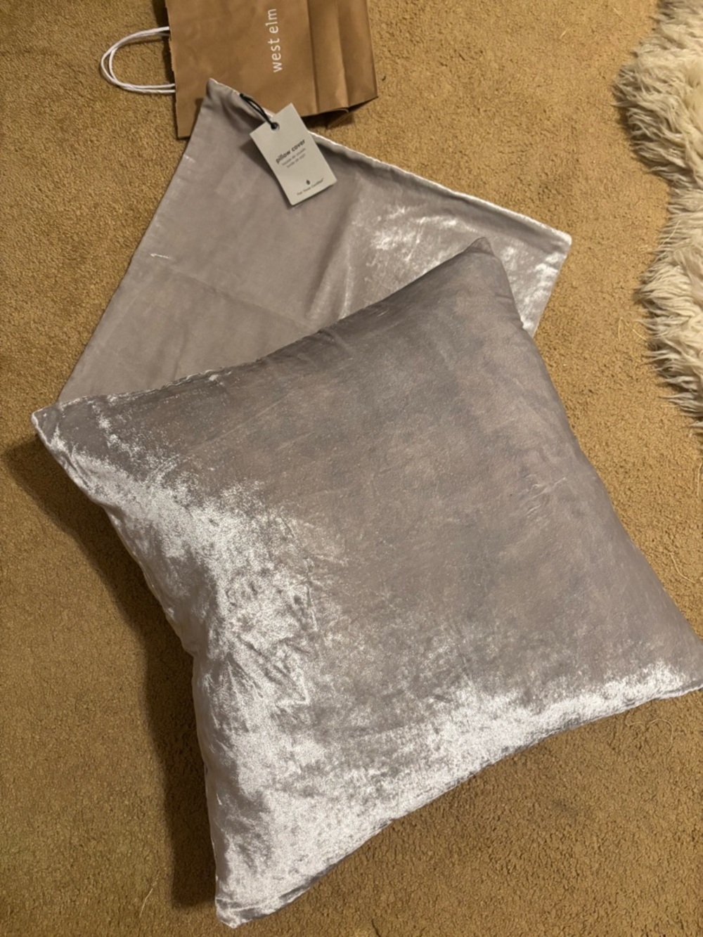 West Elm Shimmering Silver Velvet Square Pillow
